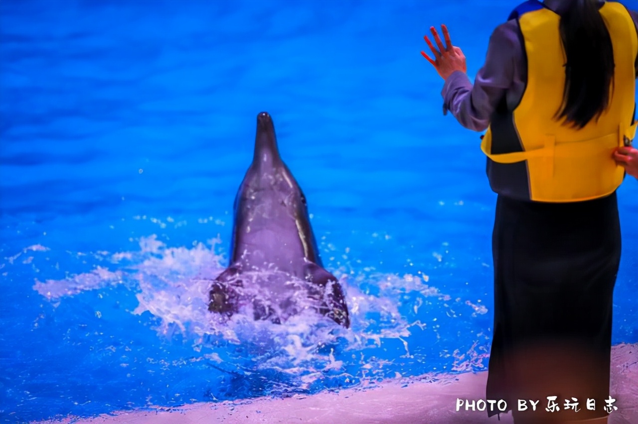 珠海亲子游必玩景点,珠海一日游适合带孩子玩的景点