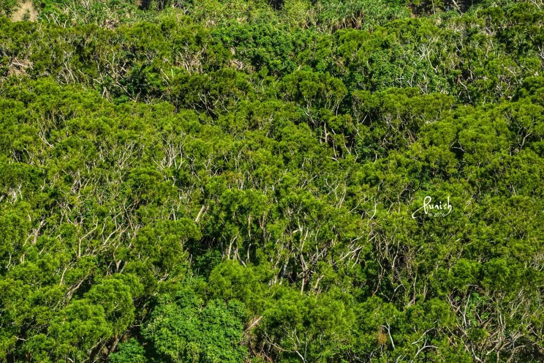 国境之南的秘境，一个颠覆认知的垦丁