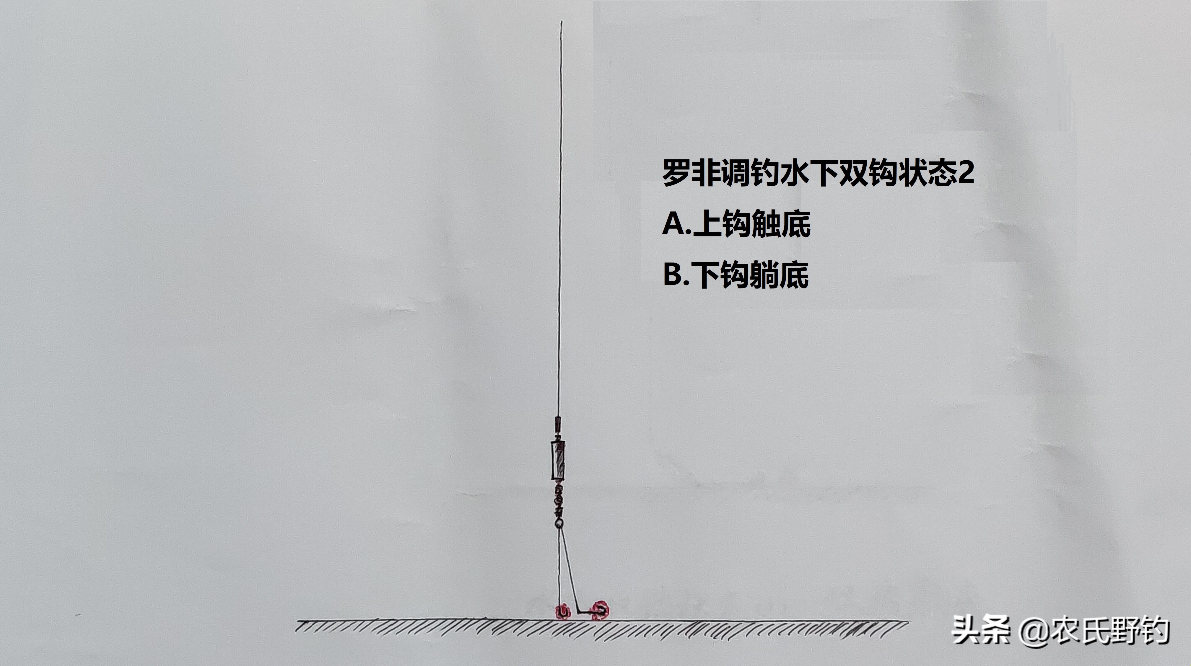 怎么钓大罗非避开小罗非,钓小罗非怎么钓到大罗非