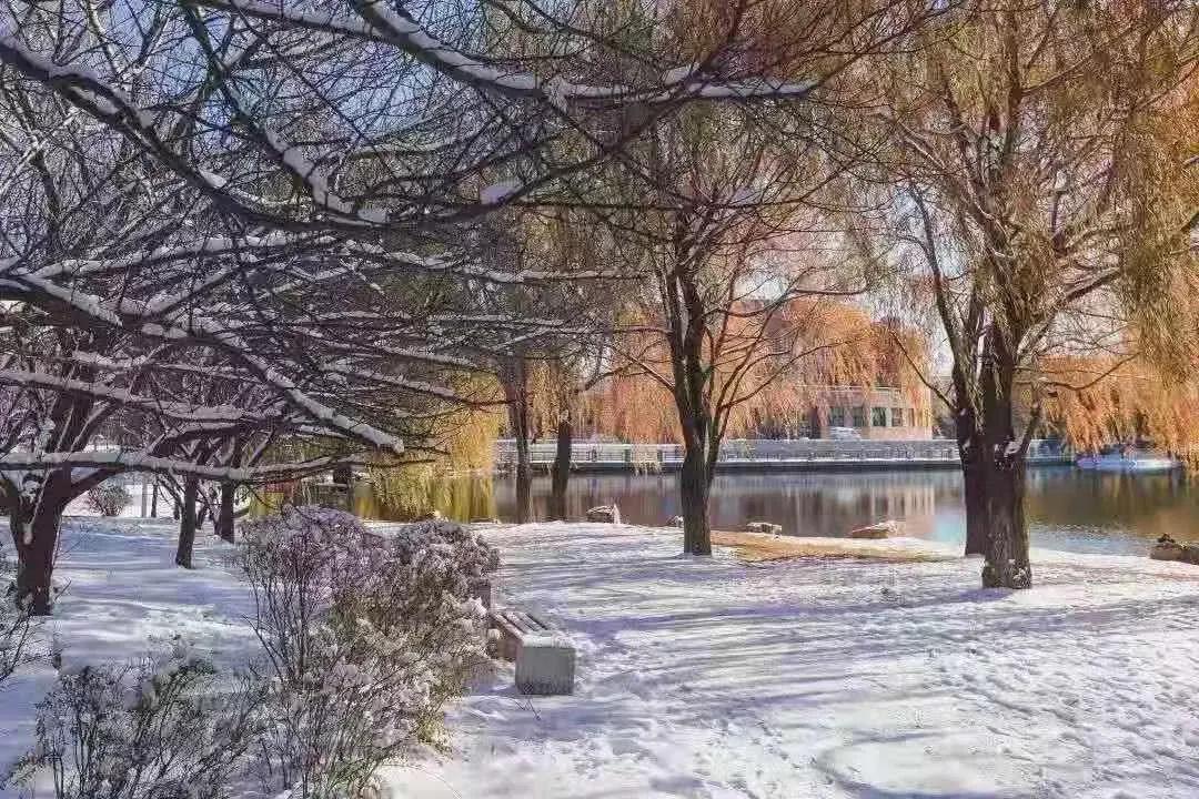 沈阳航空航天大学在辽宁省的地位,辽宁省沈阳航空航天大学在哪个区