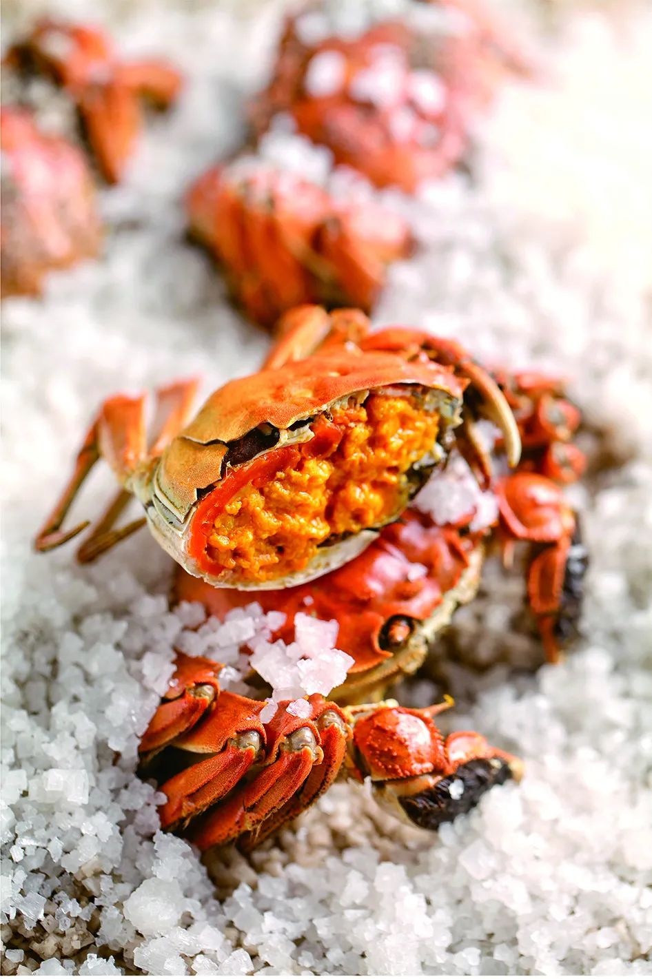 鍙彛鍙箰鎺㈠簵鎵撳崱,鍙彛鍙箰鎺㈠簵瑙嗛