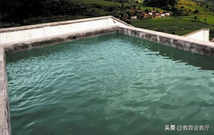 吃水不忘挖井人感恩教育内容,吃水不忘挖井人教学成功之处