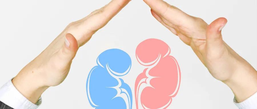 确诊肾炎之后要怎么处理,肾炎怎么知道肾脏受损是否严重