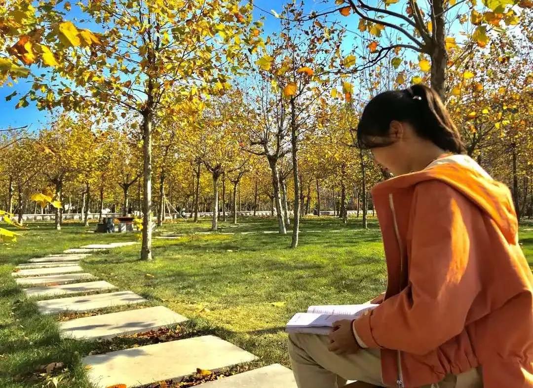 现实的乳山市银滩,乳山银滩是真的吗