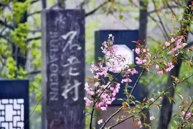 新区附近的旅游景点推荐,新区旅游攻略必去十大景点