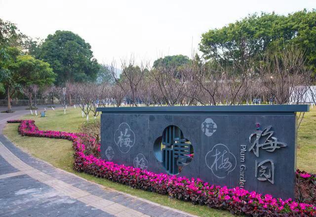 深圳花海公园推荐景点有哪些,深圳花海公园地址在哪里
