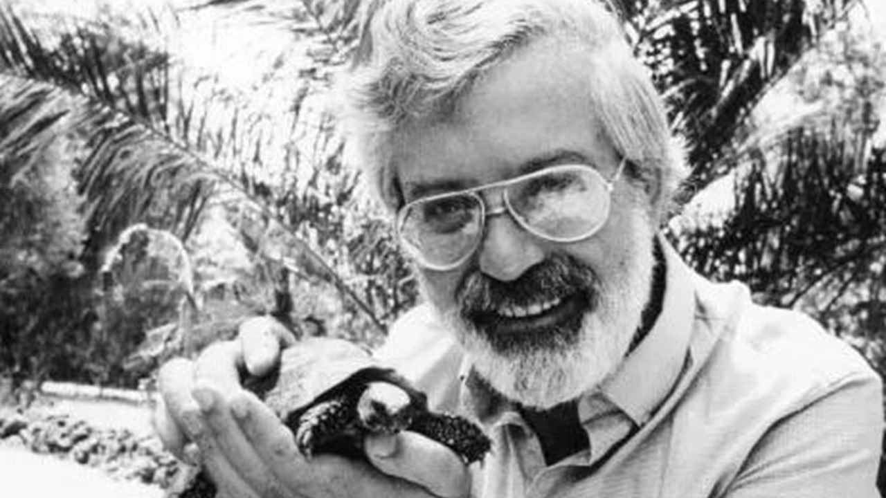 绘本才是真正适合孩子阅读的,绘本阅读七步法教你如何读绘本