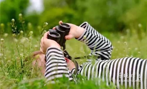 怎样做早教训练视频,在家做早教最简单的方法