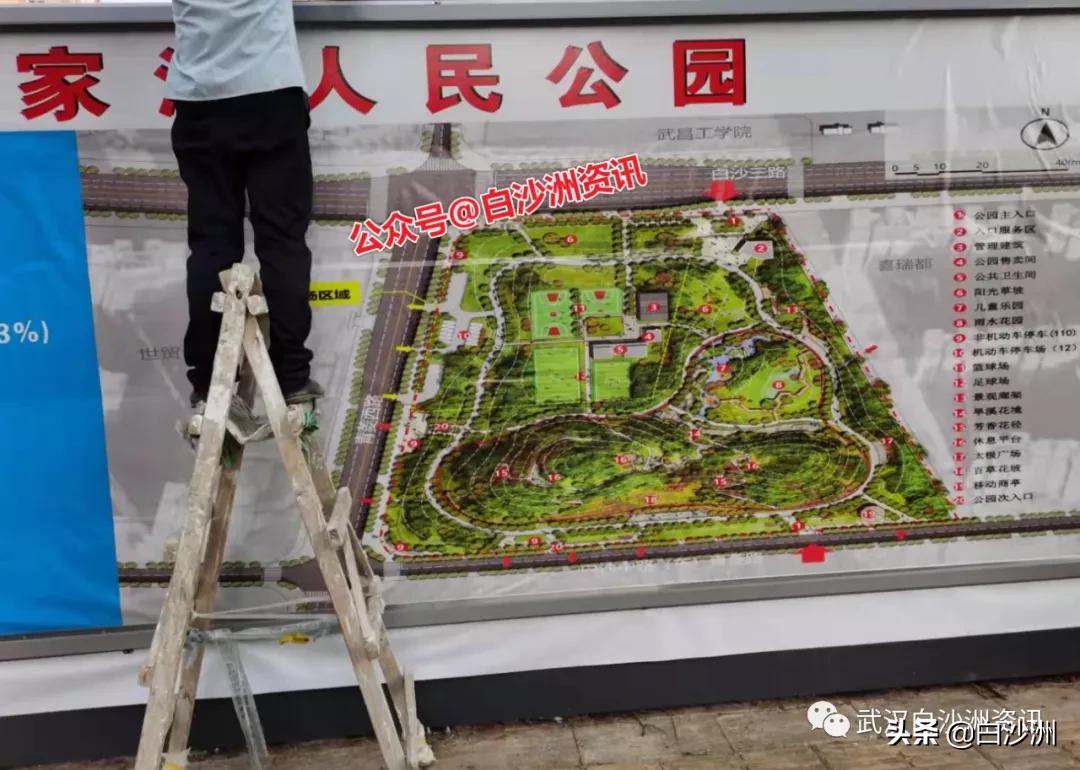 洪山白沙洲体育公园,白沙洲建体育文化公园