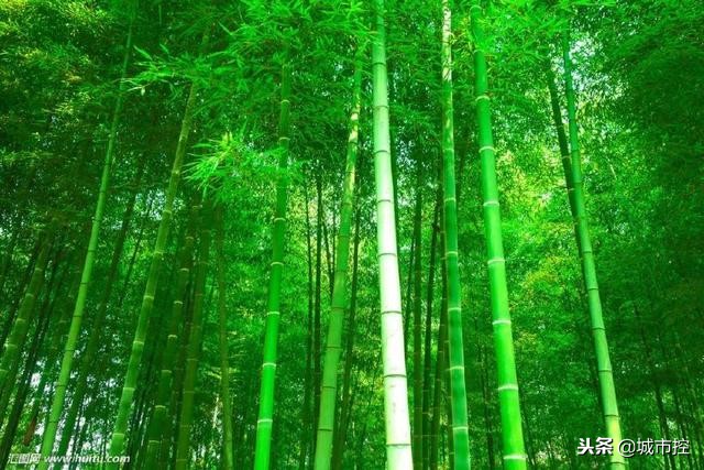 江苏最值得去的十个旅游地方,一到十二月江苏省小众旅游