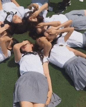 这只鹦鹉一直以为他是一只猴，所以每天都在重复做这个动作