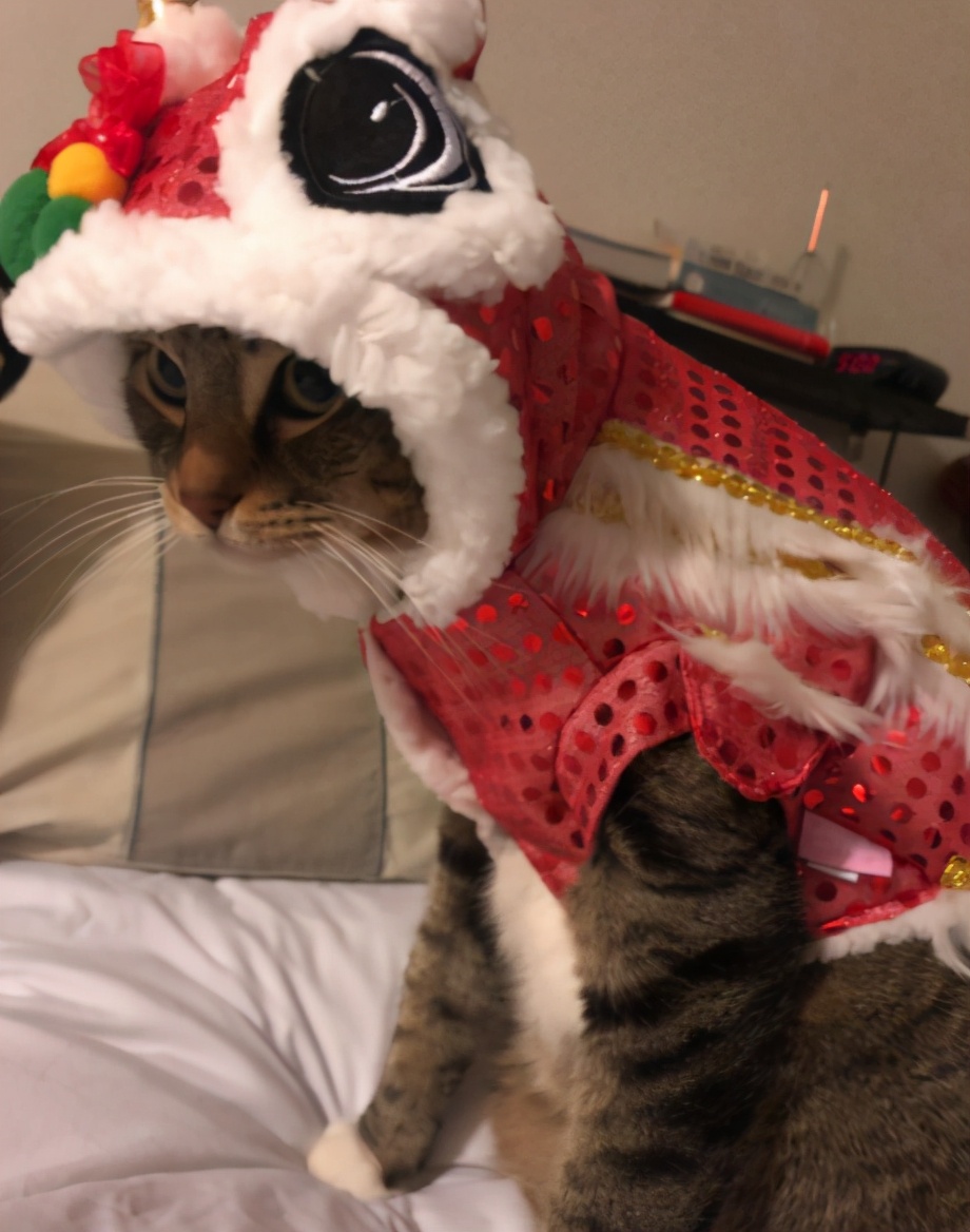 中国尿盆在美国高价热卖！放红酒当果盘，外国人这么好骗吗哈哈哈