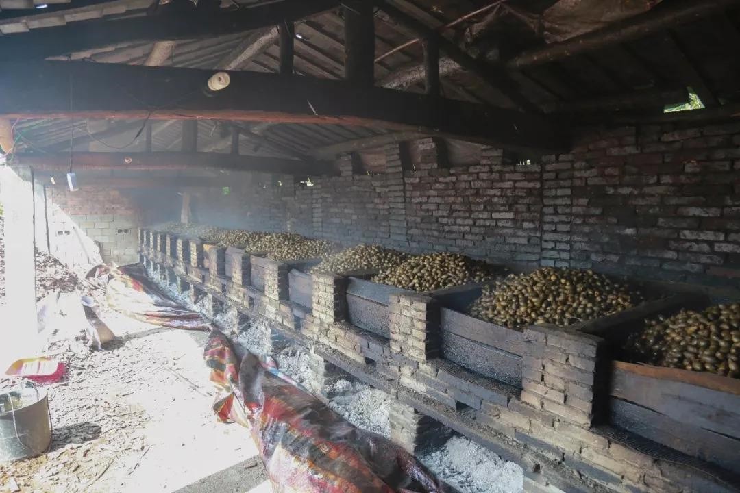 槟榔的危害有多大毁了多少家庭,吃槟榔不舒服为什么还是戒不掉