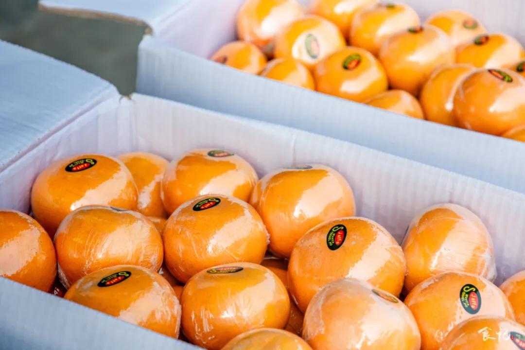 襄阳四季青水果批发市场位置,襄阳最大水果交易市场