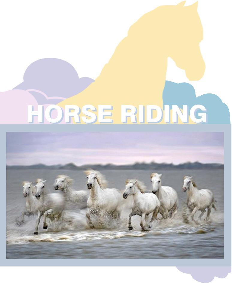 瓦努阿图游隼,瓦努阿图去哪里玩