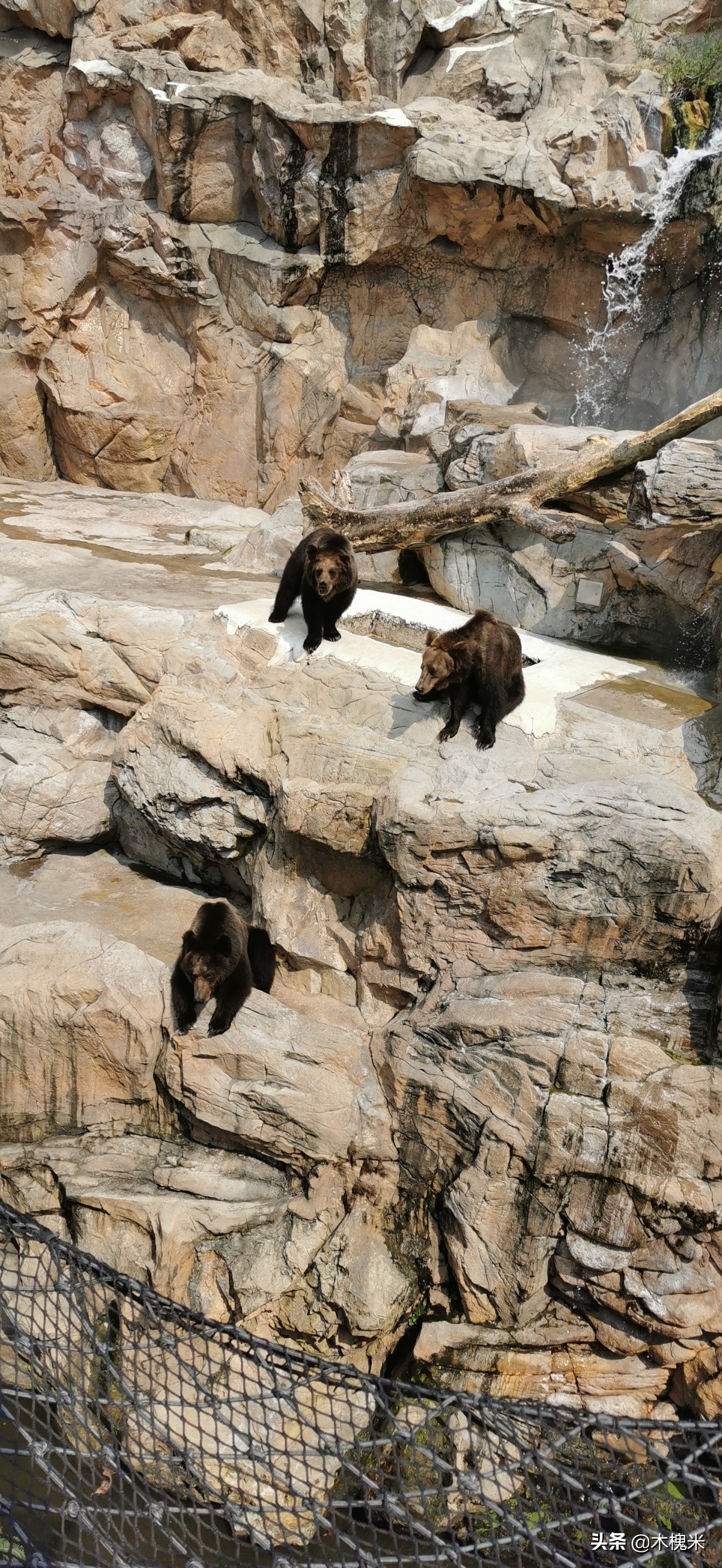 珠海长隆附近美食,珠海长隆海洋王国海底世界