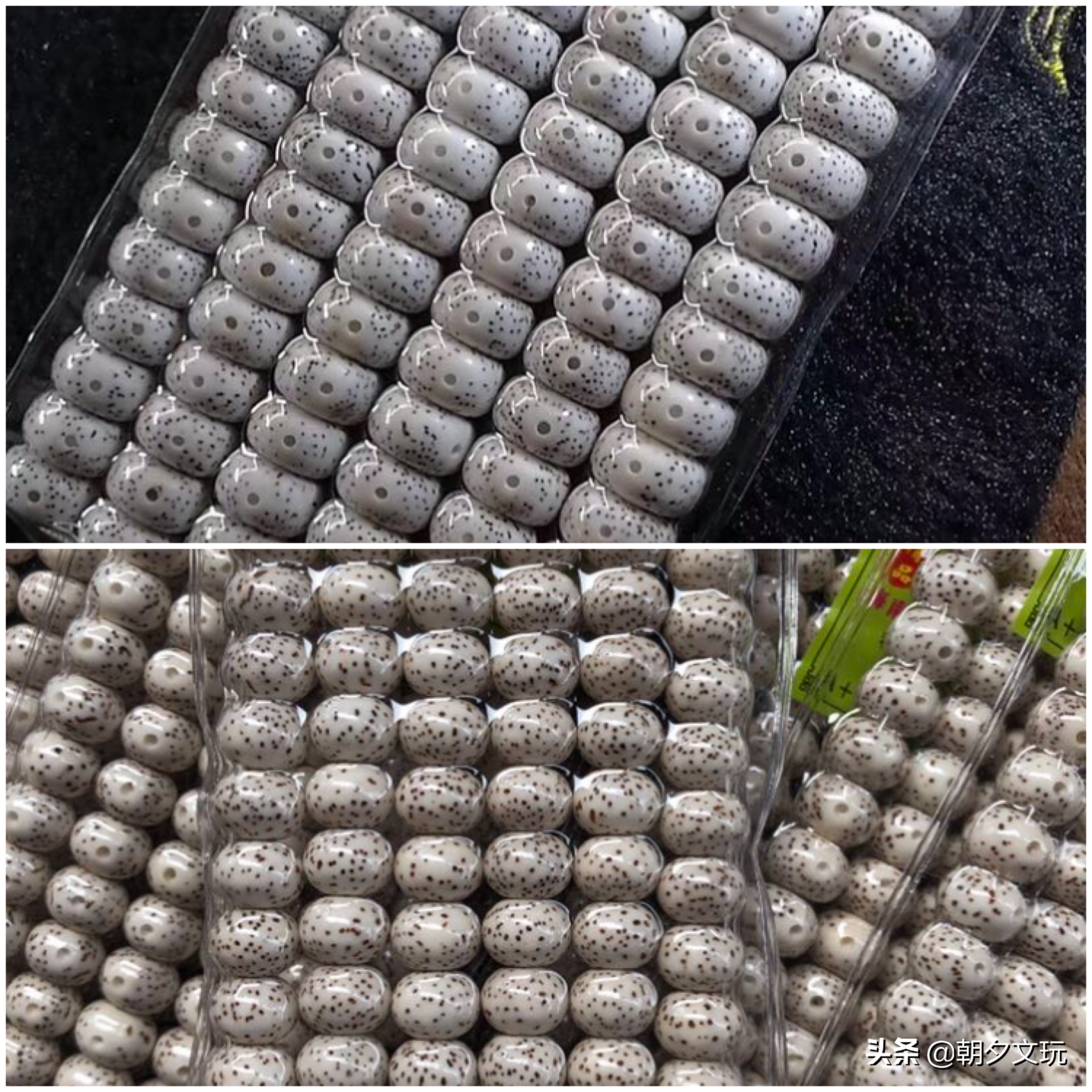 星月菩提怎么挑选才是好的,星月菩提怎么挑选好籽