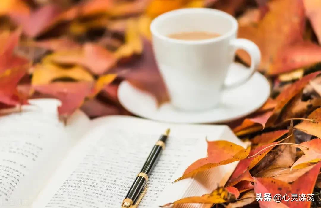 我的游戏人生,我的游戏人生经历