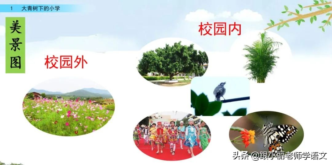 大青树下的小学重要背诵内容,大青树下的小学重点知识点