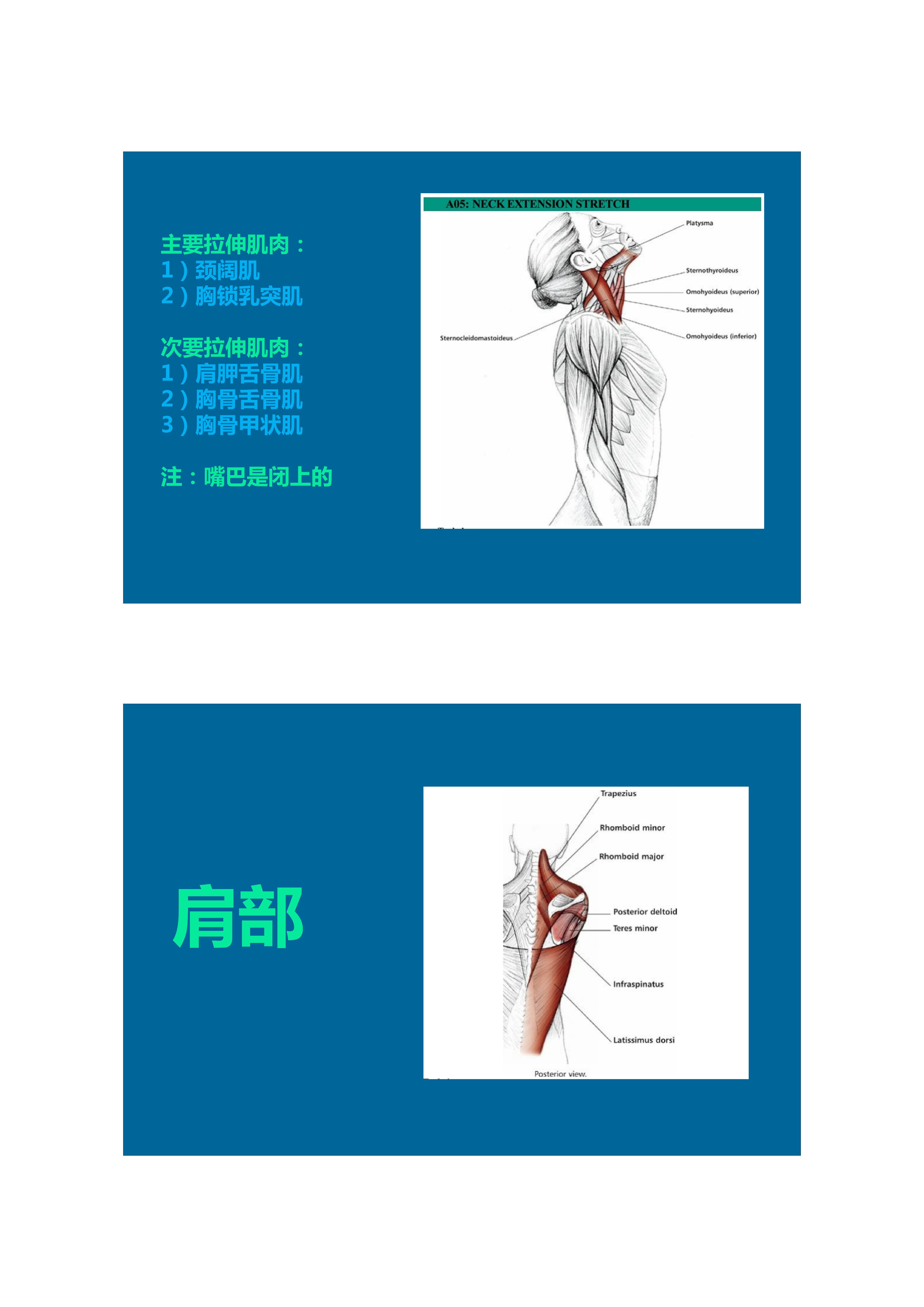 1分钟拉伸动作视频,拉伸腿部技巧