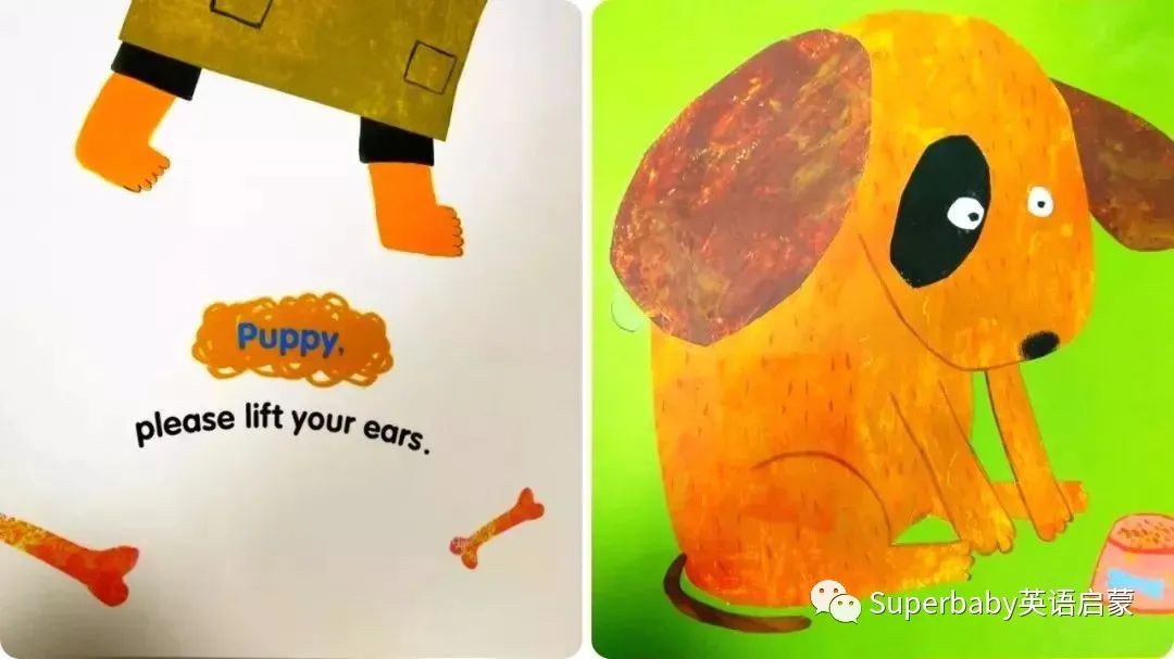 whereismycandy绘本翻译,whereismycandy绘本精读