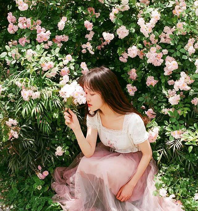 满架蔷薇一院香，开到荼靡花事了