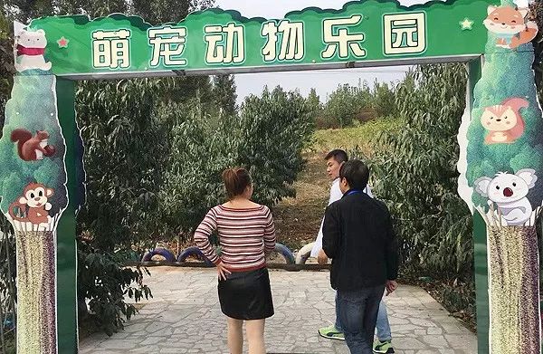 明星来迁安,来迁安的明星