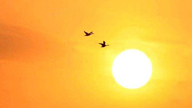 中国的历法有多厉害,王蒙历法