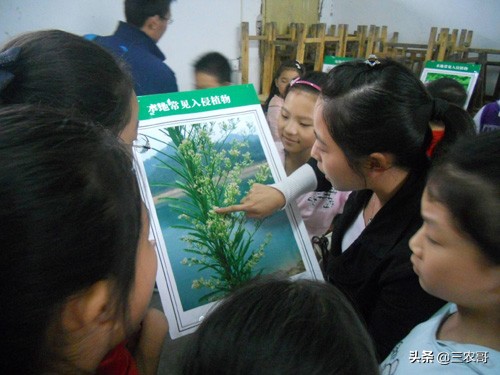 适合30岁在家创业的小本生意,适合农民干的冷门创业