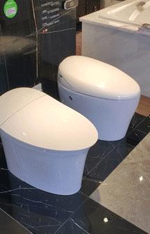 如何选购智能马桶盖板,小户型智能马桶盖选哪个