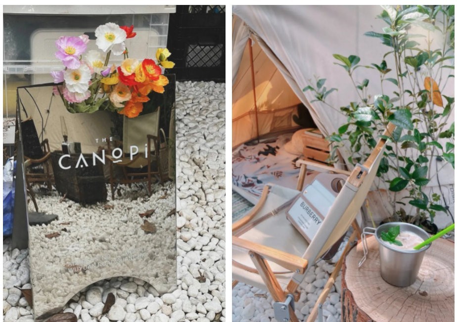 露营主题咖啡馆成本,露营咖啡厅真的很赚钱吗