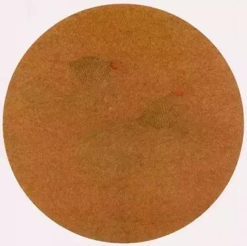 工笔金鱼团扇教学视频,工笔金鱼国画图片大全