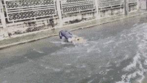 放松一下搞笑动态图,我出来了搞笑动态图