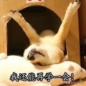 深圳过渡补贴什么条件可以领,深圳补贴3000元领取条件