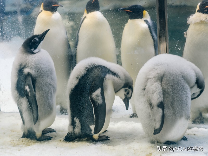 吃喝玩乐in珠海,珠海吃喝玩乐一体的地方