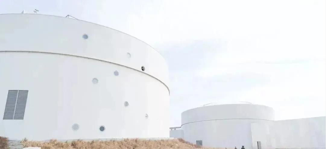 上海免费的旅游攻略,上海最实惠的免费旅游攻略