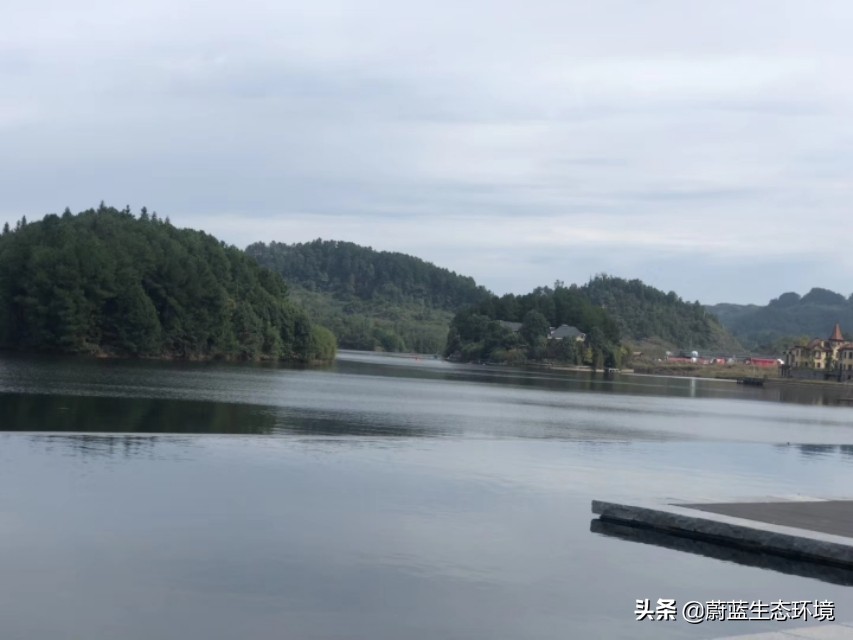 深圳最好的公园东湖公园,深圳东湖公园有哪些风景区