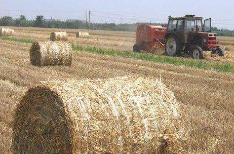 柿黄集村：麦秸打捆成饲料一天能挣400多