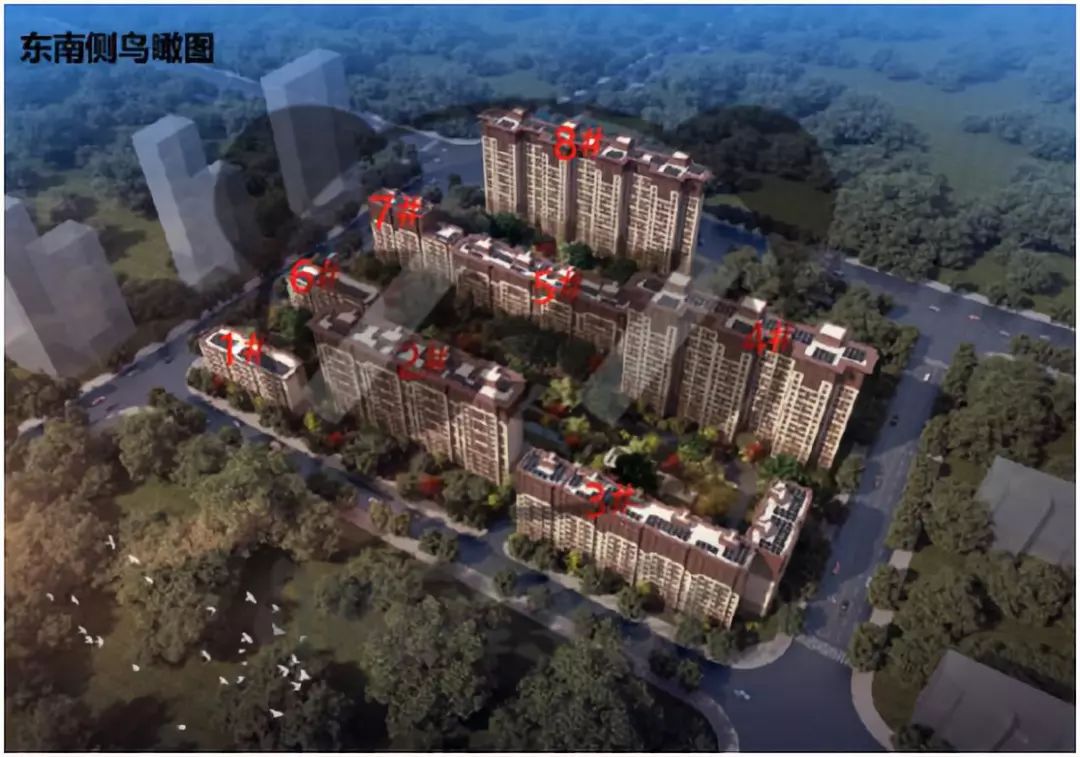 一个小片区，6个限竞房，购房者表示挑花了眼