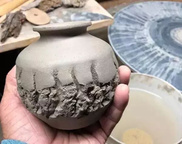 大叔养多肉20年，一片叶子上万块，盆盆都快成精了！