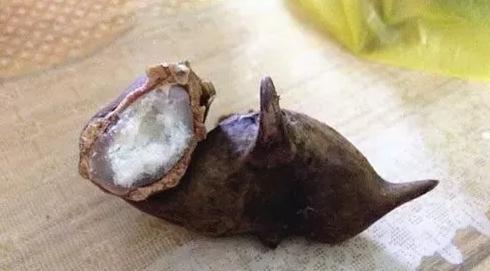 通赢天下：生粉和淀粉，究竟是不是同一种东西？