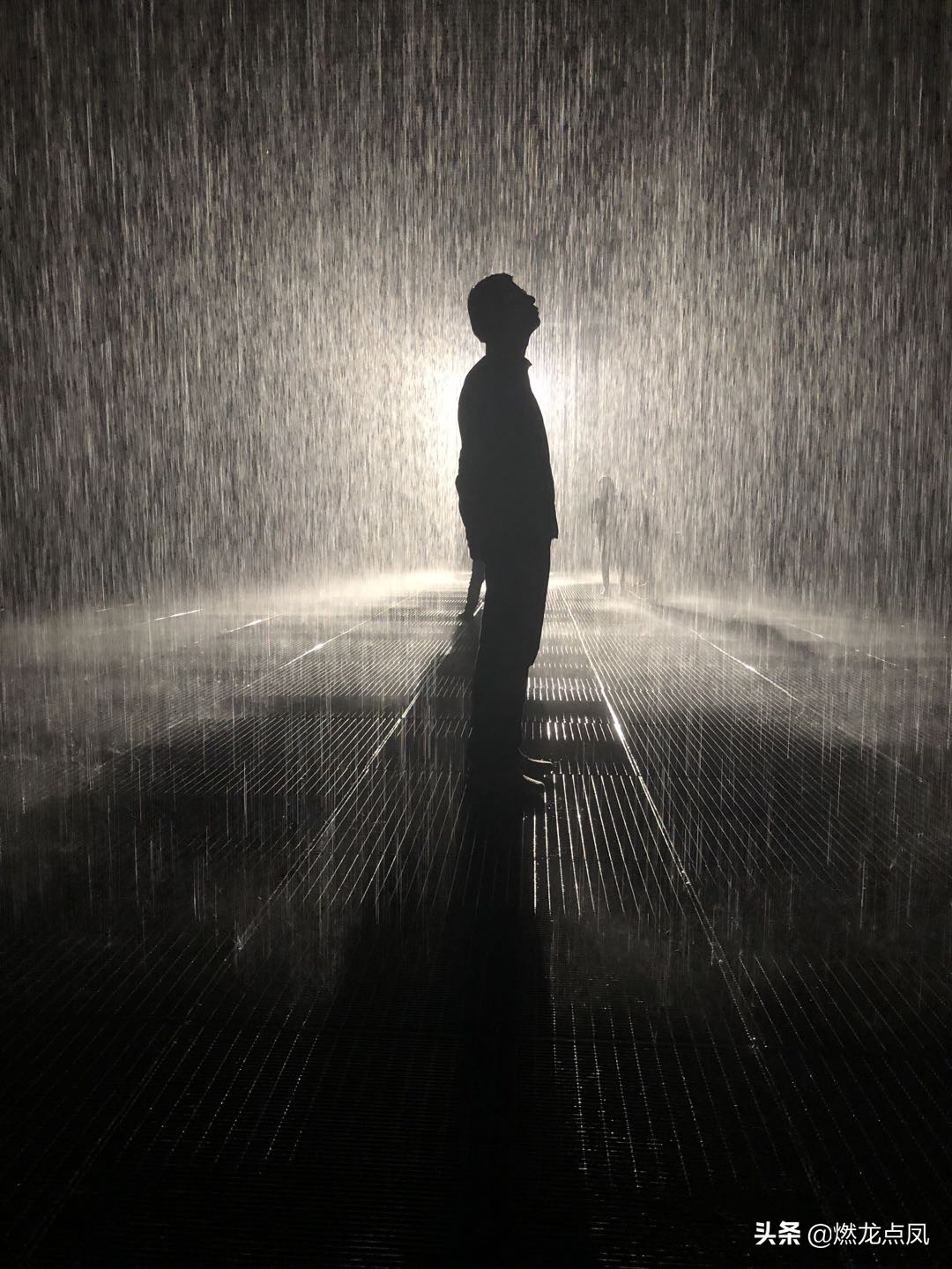 抗疫情深数字创意作品：浙江省漫画家协会李涛李兰娟表情包专辑