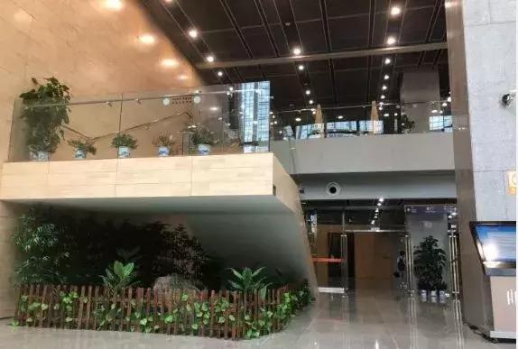 广州市各区图书馆攻略,广州市的图书馆推荐