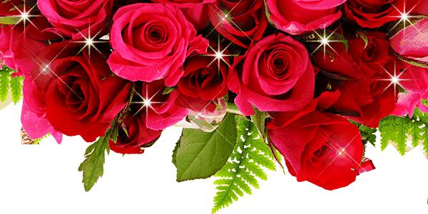 三八妇女节将至祝姐妹们节日快乐,三八妇女节提前祝女友们节日快乐