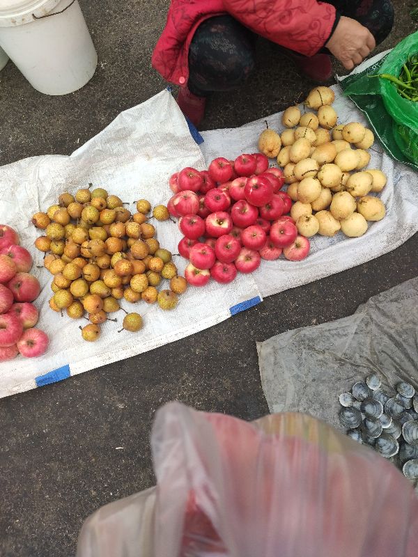 庄河最大早市,庄河南早市