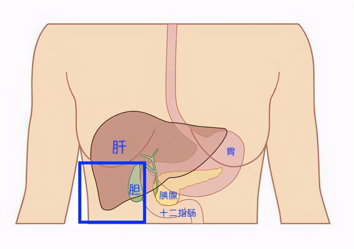 腹痛拍什么片子,腹痛到医院检查