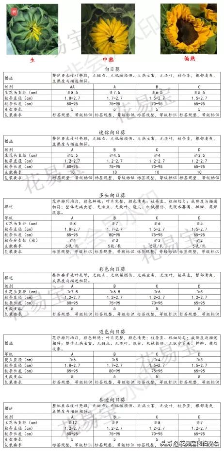 围观|教师节备货高峰的质检中心是什么样子的？
