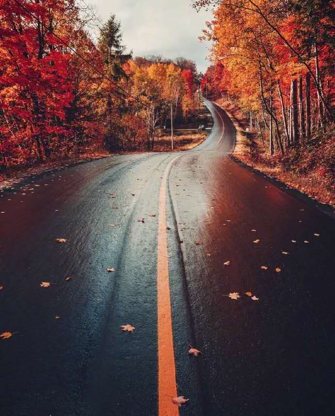 如果厮守一个男人，你可能走上了一条不归路。