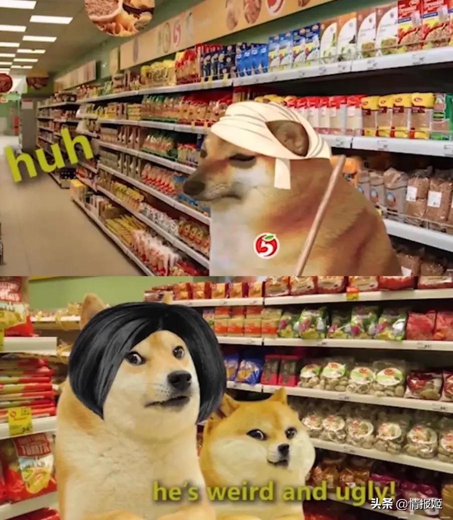 被做成表情包的柴犬doge,doge柴犬表情包万恶之源