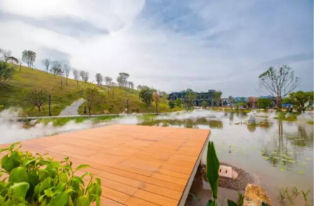 深圳北站中心公园现状,深圳北站中心公园风景